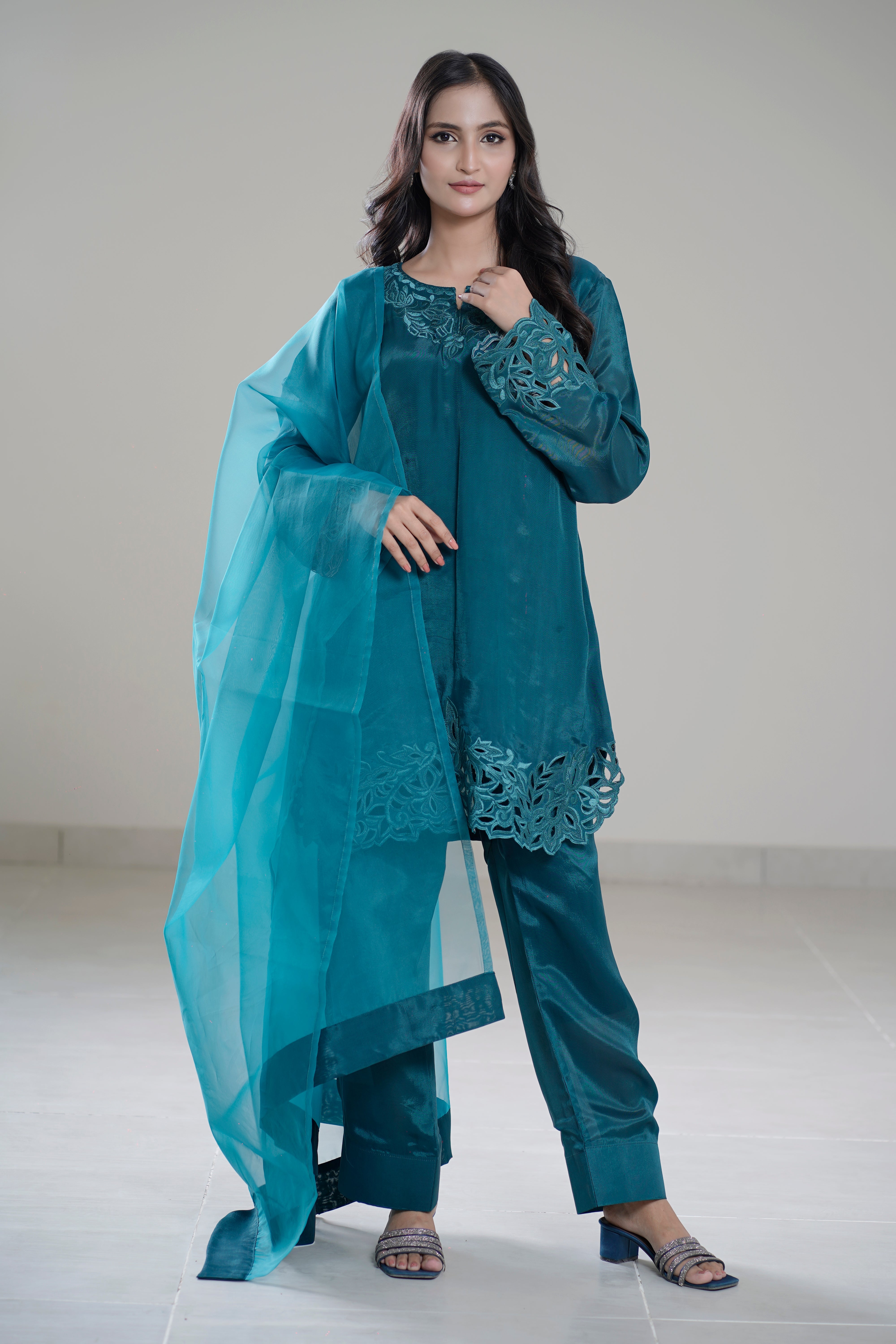 Aks-e-Zinc Cutwork Gala