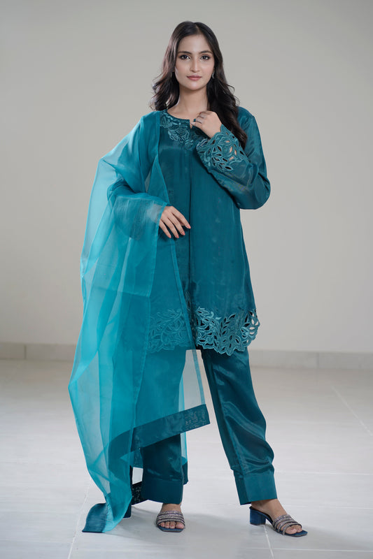 Aks-e-Zinc Cutwork Gala