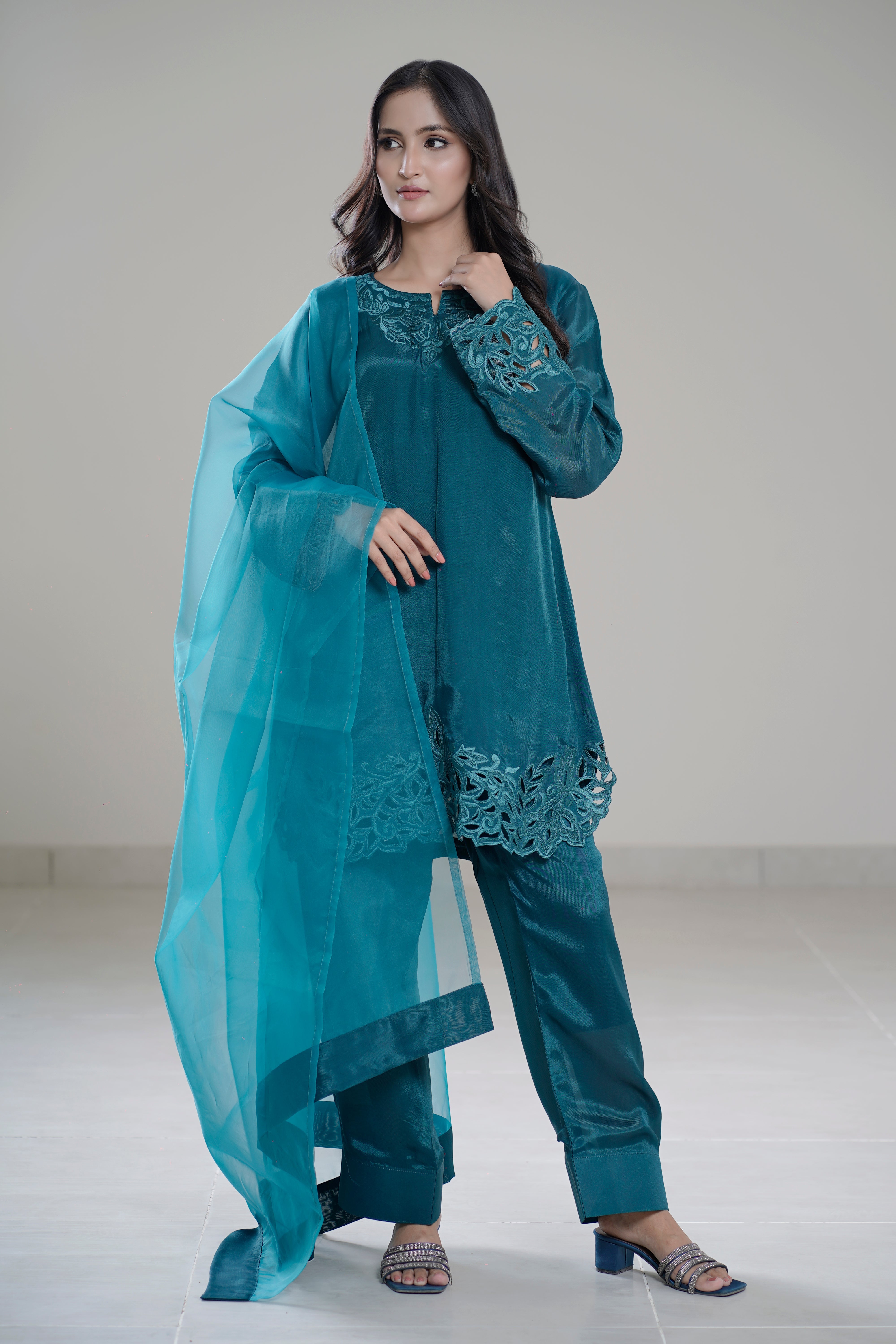 Aks-e-Zinc Cutwork Gala