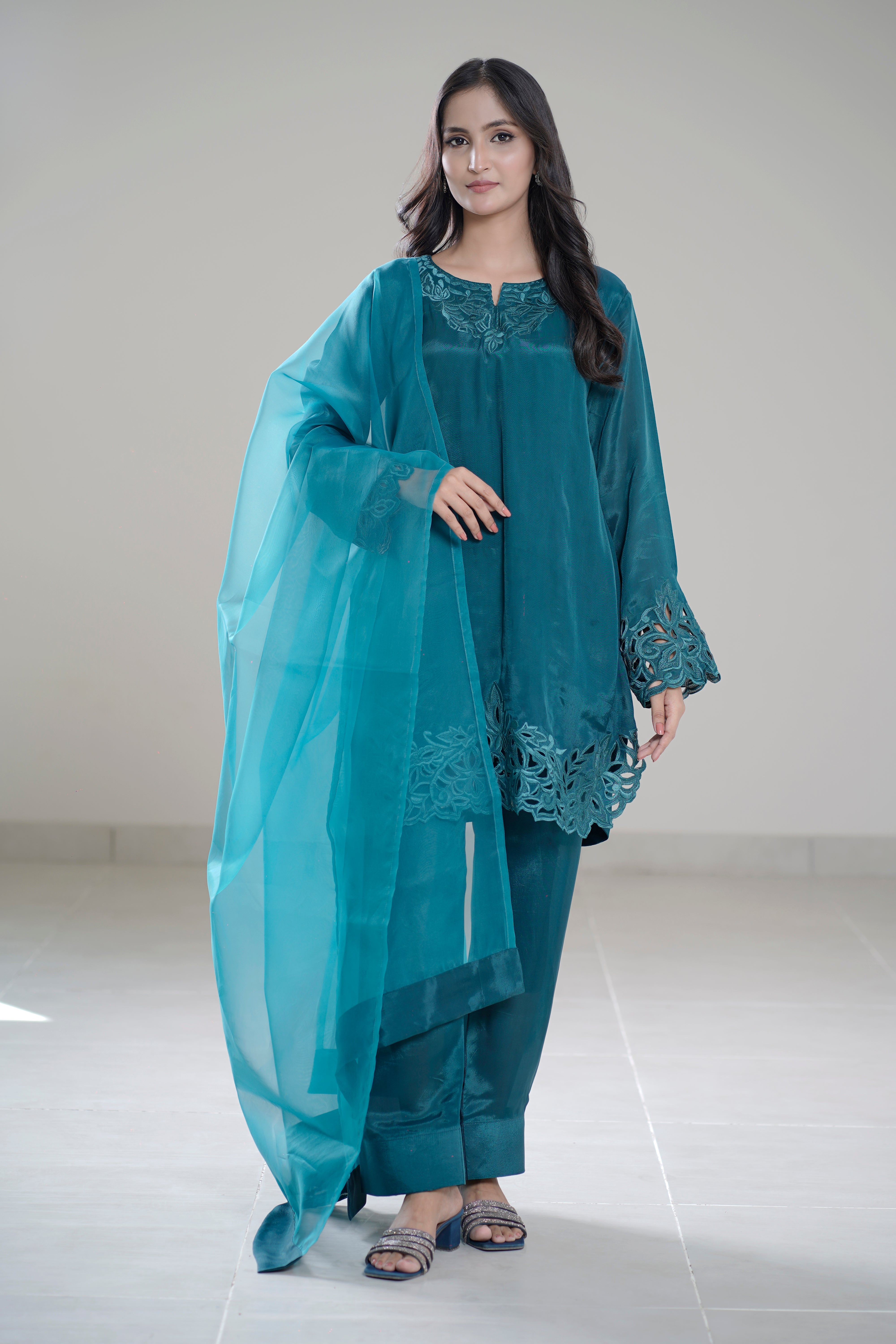 Aks-e-Zinc Cutwork Gala